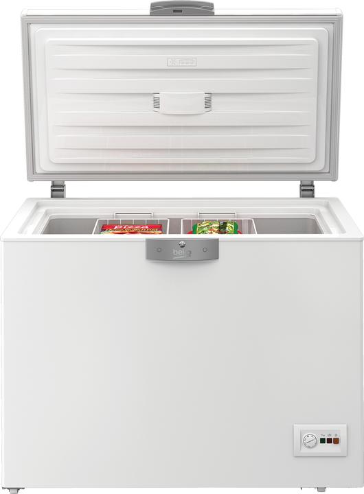 Beko GT24540CHN (Freistehend, 230 l)