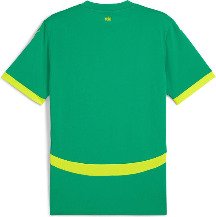 Actual product image Puma away jersey sénégal 2024 (M)