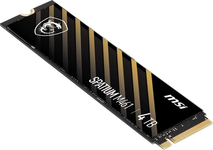 Immagine prodotto MSI Spatium M461 (4000 GB, M.2 2280)