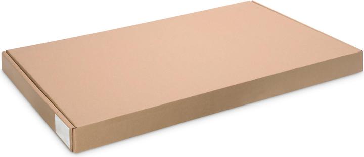 Image du produit Digitus DN-19 TRAY-2-1000-SW Tablette extensible, 1U, 720mm de profondeur