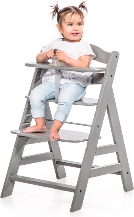 Image du produit Hauck alpha+ (Chaise haute)