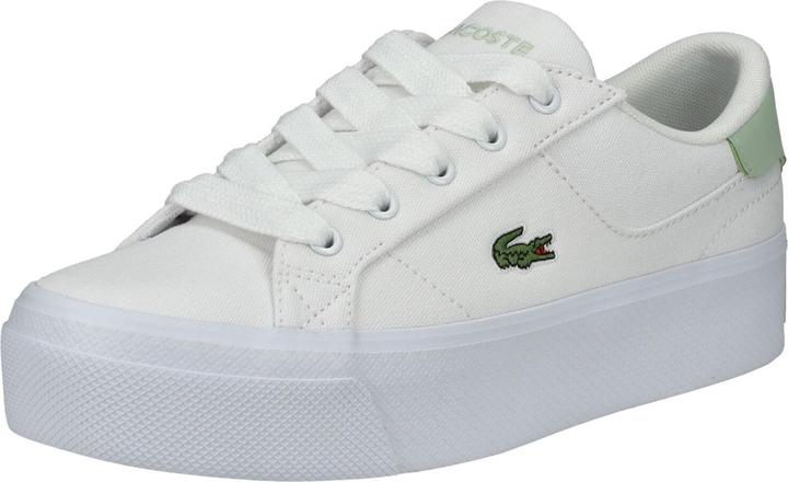 Lacoste Sneaker (42)