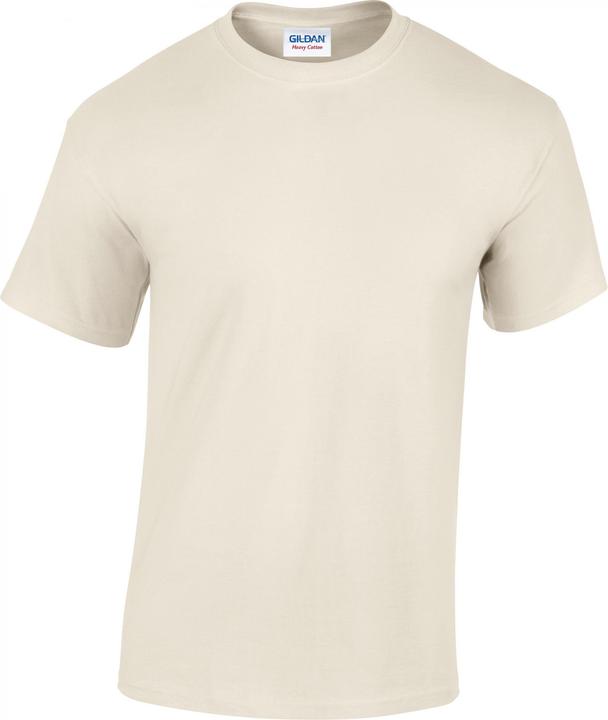 Gildan T-Shirt (S)