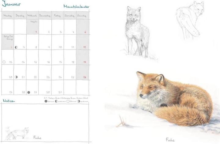 Produktbild Mein Naturkalender 2025 (Deutsch)