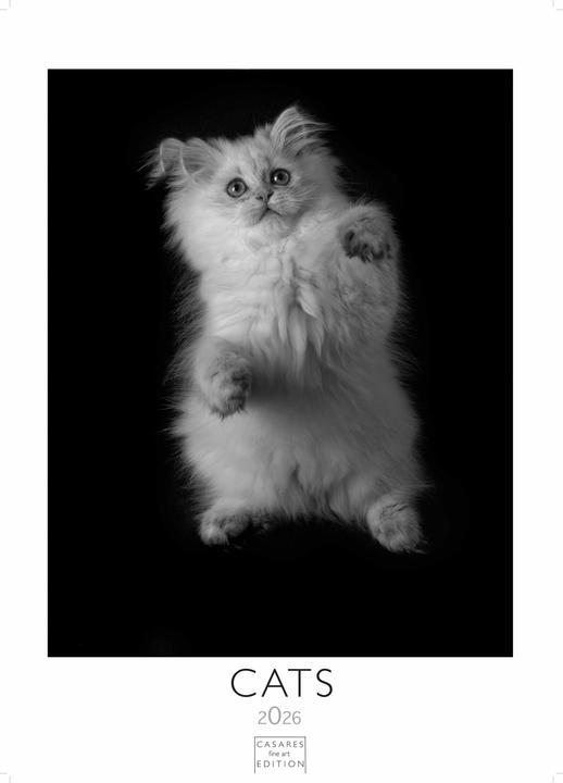 Produktbild Cats 2026 S 29x21cm (29 x 21 cm, Deutsch)