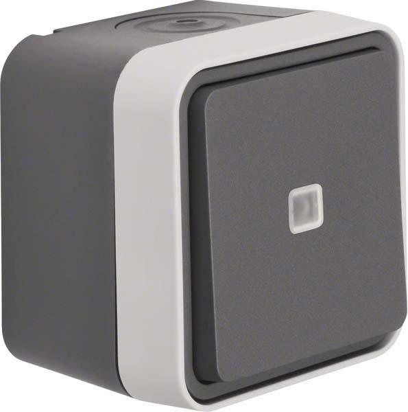 Actual product image Berker Control changeover switch