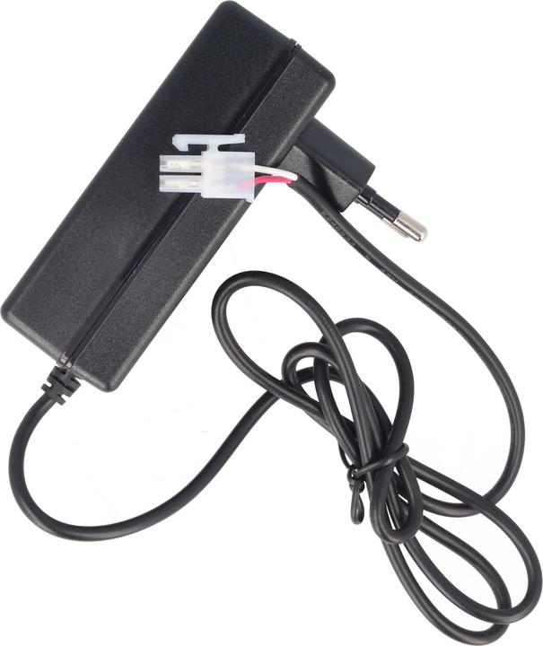 Actual product image AccuCell Schnell-Ladegerät exakt passend für den roma Rollladen 4511670 Akku 12V 800mAh (1 pcs., 800 mAh, Rechargeable battery)