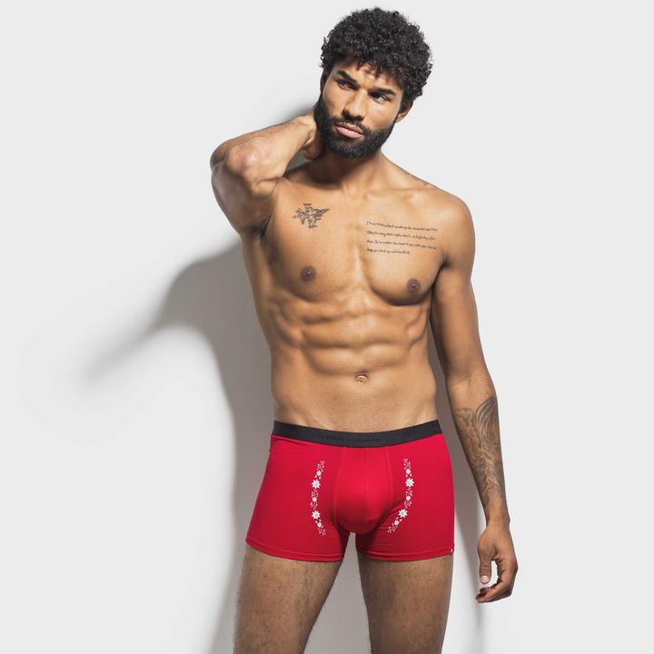 Immagine prodotto ISA Bodywear Panty Andy (XL, Confezione singola)