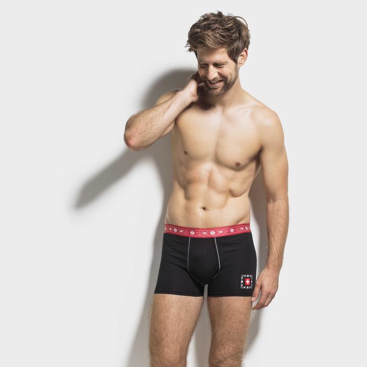 Immagine prodotto ISA Bodywear Panty Andy (L, Confezione singola)