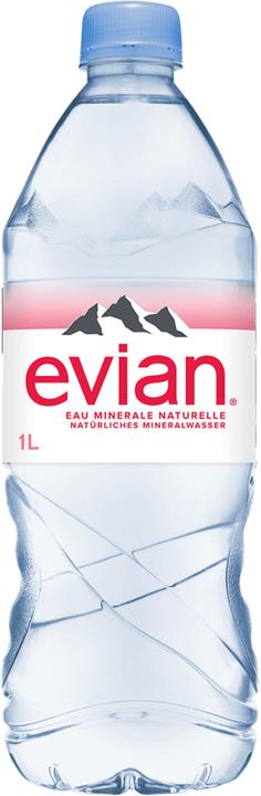 Evian Mineralwasser (6 x 100 cl)