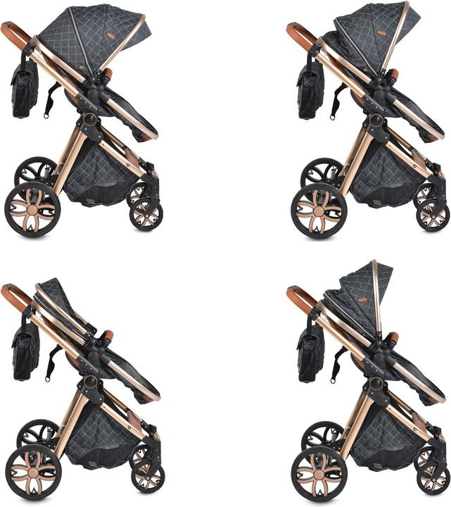 Actual product image Moni Alma