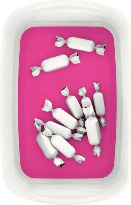 Immagine prodotto Leitz Vassoio portaoggetti MyBox (24,6 x 9,8 x 16 cm, 1.80 l)
