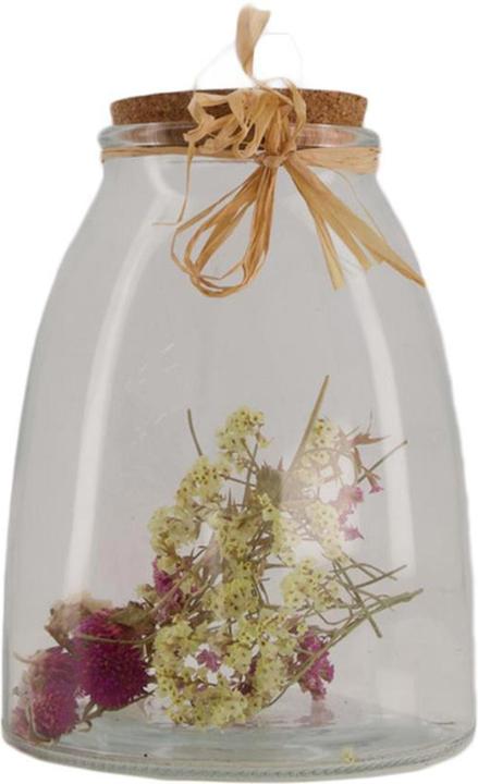 Dijk Fleurs séchées en pot (Fleurs séchées)