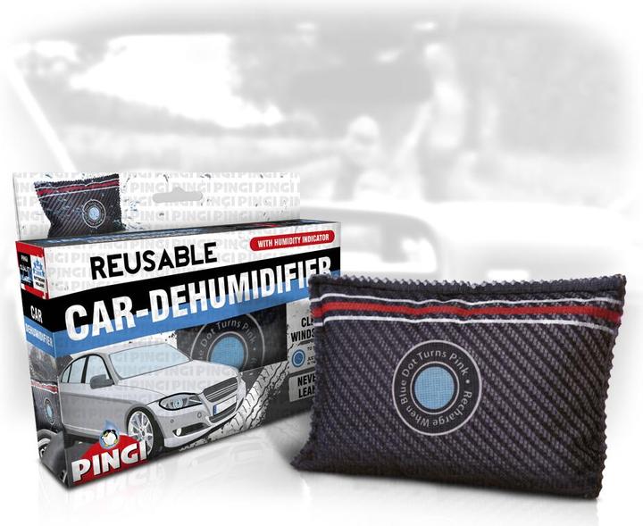 Actual product image Pingi Lv-A300 Car Dehumidifier (187 m², 2880.00 l/24h)