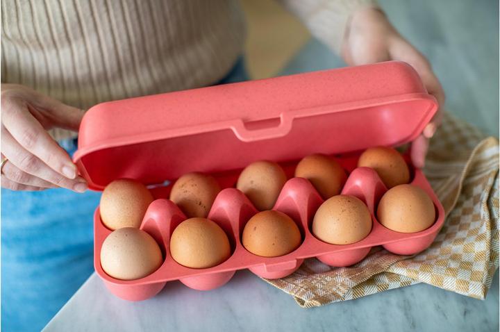 Image du produit Koziol Boîte à oeufs (2.69 l)