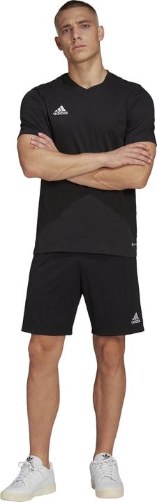Actual product image adidas Entrada 22 T-shirt men (L)