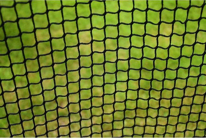 Actual product image Precision Training net