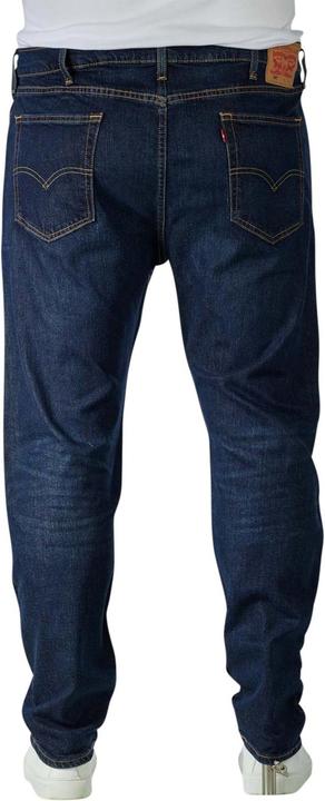 Actual product image Levis 10012858 (W48/L30)