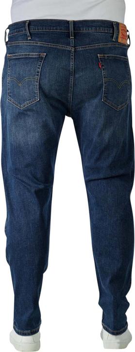 Actual product image Levis 10012858 (W48/L30)