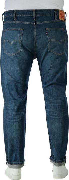 Actual product image Levis 10012861 (W46/L34)