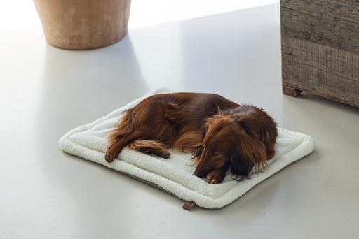 Produktbild Designed by Lotte Nalino (Hund)