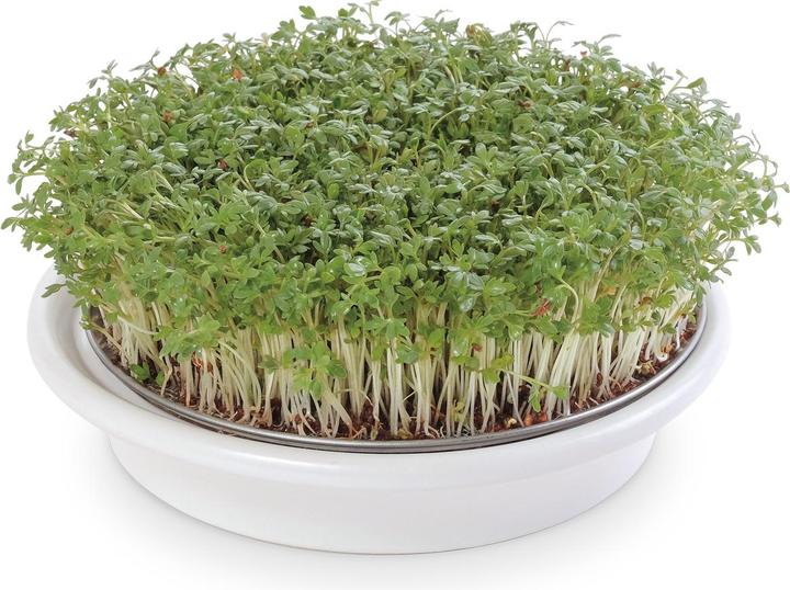 Produktbild Eschenfelder Kressesieb