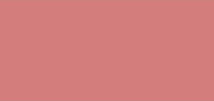 Actual product image Yves Saint Laurent Powder Blush Shade 06 (06)