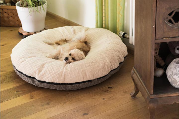 Actual product image Trend Pet Dog Bed Big Belly, Beige, S (Dog)