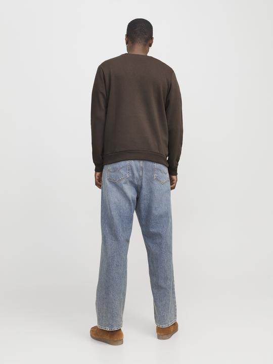 Actual product image Jack & Jones Jorbouquet Emb Sweat C.N Ft Styd Aw24 (L)