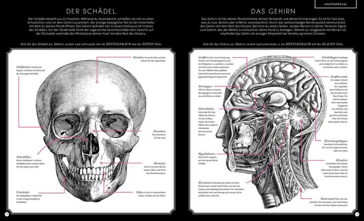 Produktbild Der menschliche Körper (Deutsch, Kate Davies, 2017)
