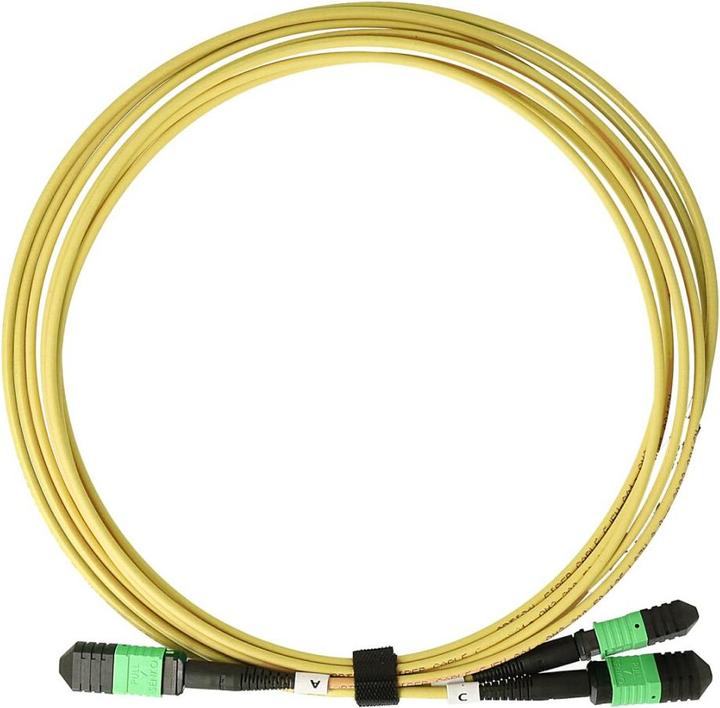 Actual product image BlueOptics Fibre optic MPO-16/APC-2xMPO-12/UPC Breakout cable G.657.A1 Singlemode 5 metres