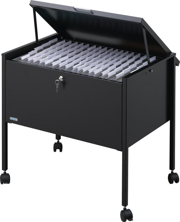 Actual product image Durable Suspension file trolley Economy 80 A4 TOP (8 x 45.5 x 66 cm)