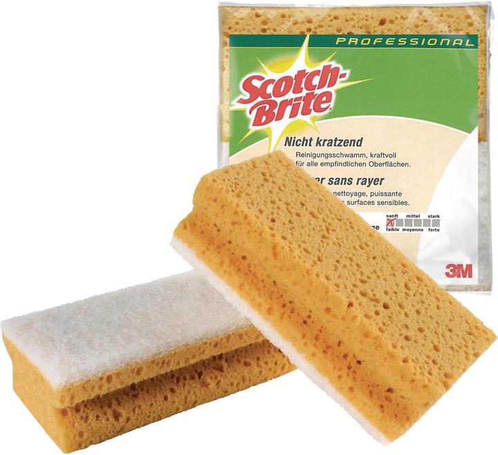 Scotch-Brite 3m (1 pcs)