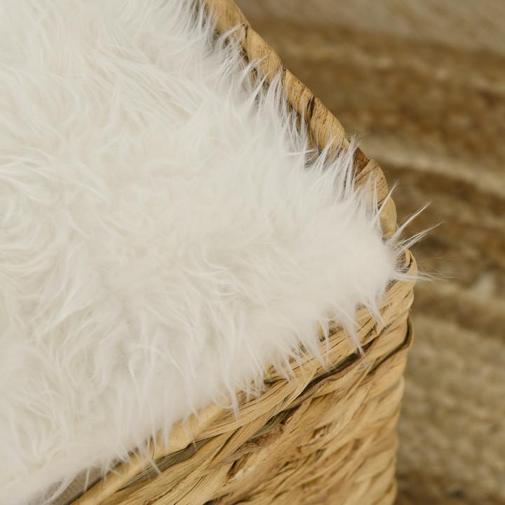Produktbild PawHut Rattan Katzenhaus mit Kissen (Katze)