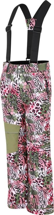 Actual product image Dare2b Childrens/Kids Pow Leopard Print Ski Trousers (146)