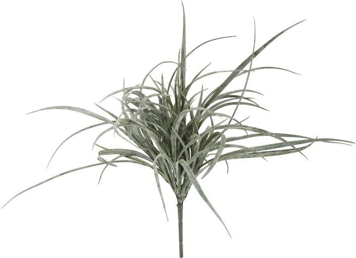 Actual product image DPI Giardino (35 cm)