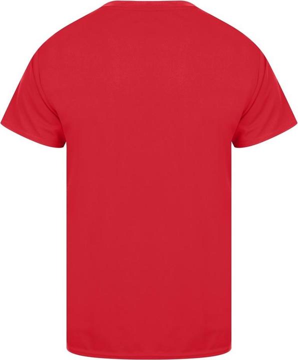 Actual product image Universal Textiles Mens Original Tech T-Shirt (4XL)