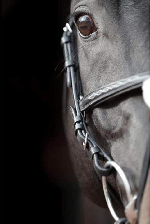 Produktbild Kerbl Trensenzaum Cancun schwarz, Pony
