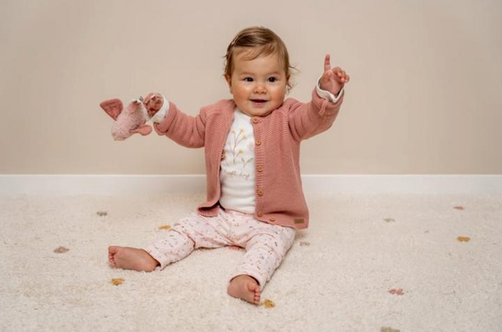 Image du produit Little Dutch Veste en tricot Vintage Pink (62)