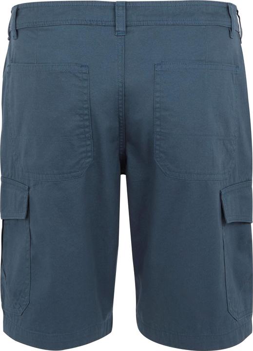 Actual product image Regatta Mens Ruwan Casual Shorts (56)