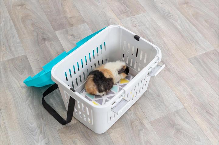 Actual product image Trixie Transport box Midi-Capri for dwarf rabbits (Rodents, Reflectors)