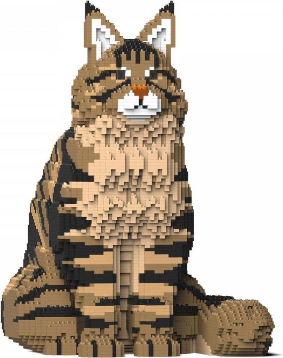 Produktbild Jekca Limited Maine Coon Katze