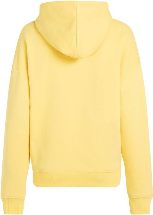 Immagine prodotto O'Neill The Future Surf Society Hoodie (L)