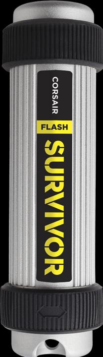 Actual product image Corsair Survivor (128 GB)
