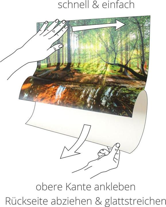 Image du produit Artland Toile sur châssis Grenouille espionne T5VH 50x50 cm (50x50 cm)