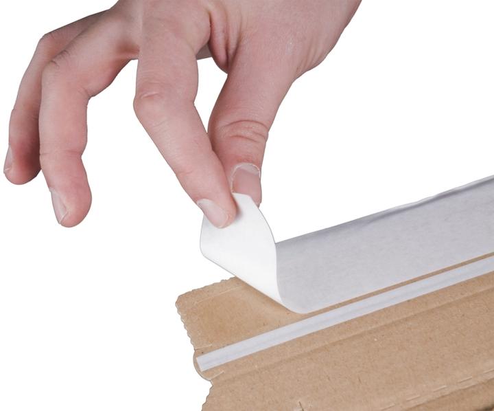 Actual product image Fellowes Shipping box for folders (29.5 x 37 x 9 cm, 1 x)