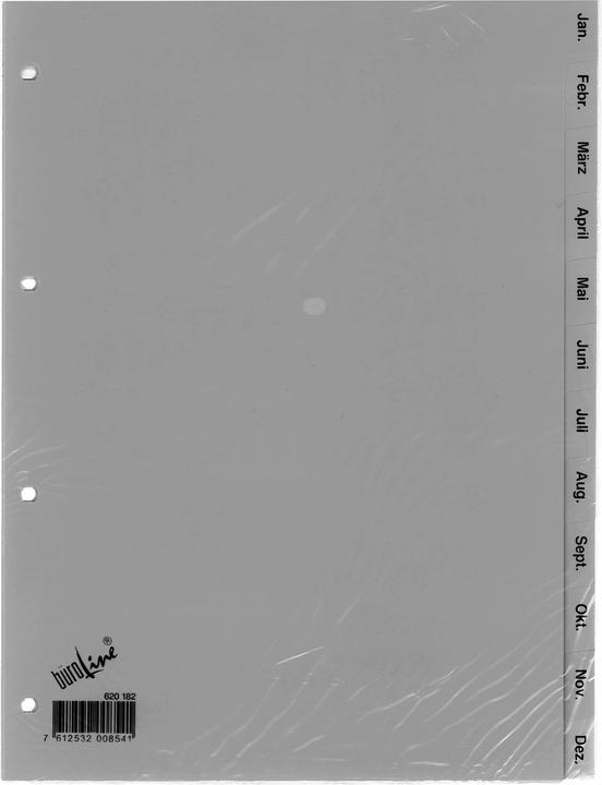 Produktbild BüroLine Kunststoff-Register