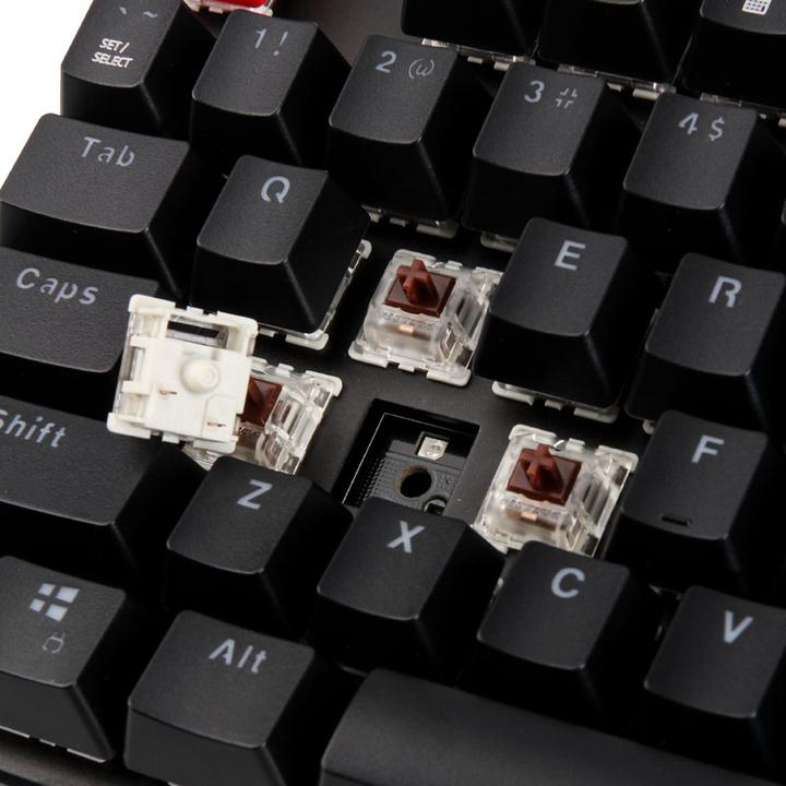 Produktbild Glorious PC Gaming Race GMMK-BRN-V2 in voller Grösse, ANSI US-Standards, Gateron Brown Switch (US, Kabelgebunden)