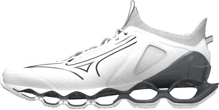Mizuno Wave Prophecy 14
