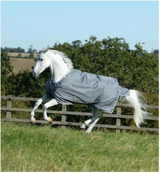 Produktbild Bucas Winterdecke Smartex Extra Classic 300g
